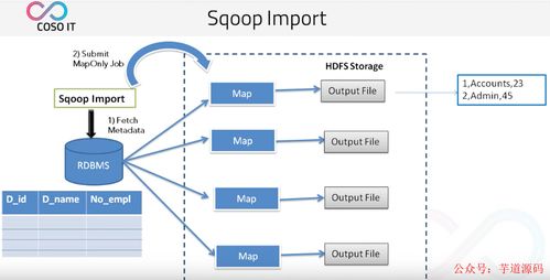 八款主流數據遷移工具技術選型解析，助力數據處理技術開發